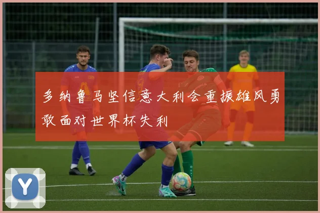多纳鲁马坚信意大利会重振雄风勇敢面对世界杯失利